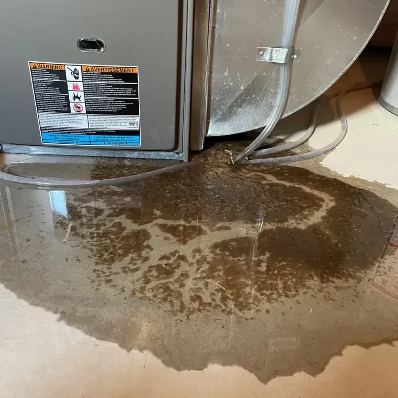 Appliance Leak Cleanup in Badin, NC